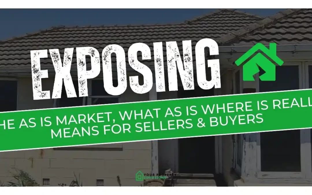 Exposing The As Is Where Is Market